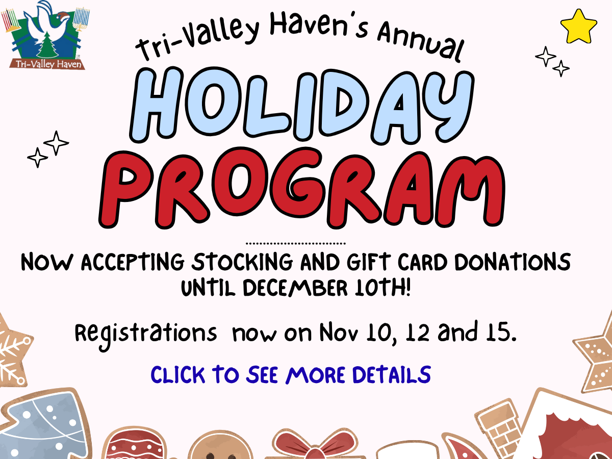 Holiday Program Website Banner (4x3)